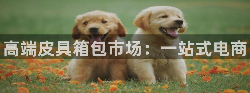 卧龙台球娱乐会所地址