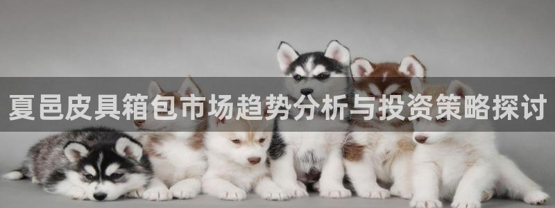 卧龙娱乐滴qv382223