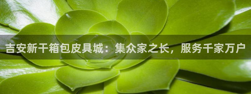 卧龙区微微娱乐商城
