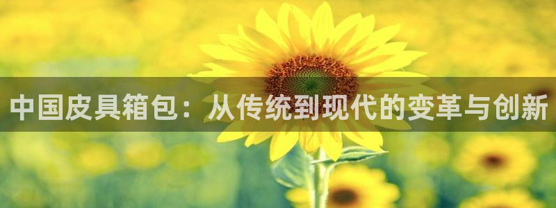 卧龙区社交娱乐