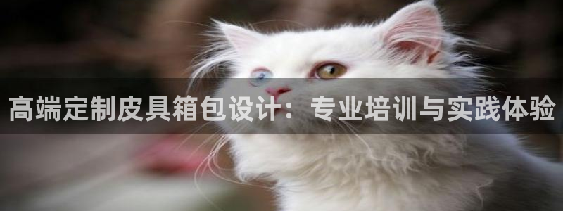 卧龙娱乐注册网址多少号