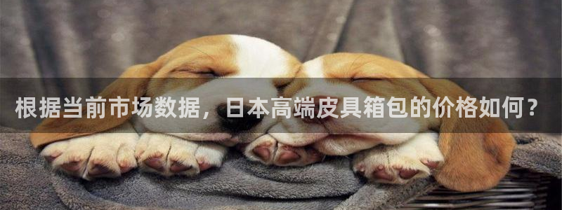 卧龙娱乐属于什么行业