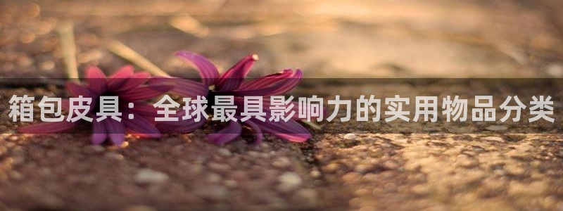 卧龙娱乐总管是谁