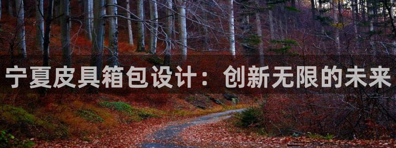 卧龙区维也纳娱乐会所