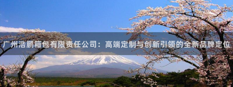 卧龙娱乐注册登录网址