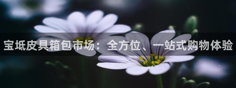 卧龙娱乐优七九九47