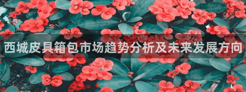 卧龙牧原娱乐设施