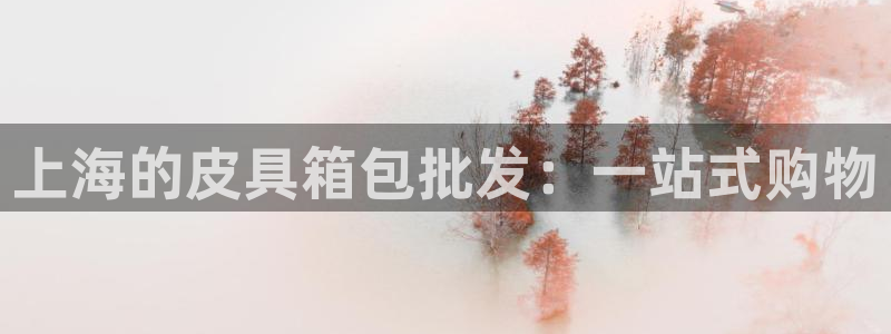 PT娱乐卧龙招商60447
