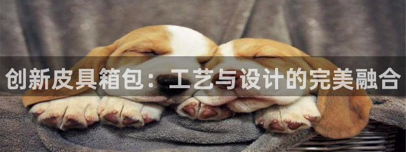 卧龙娱乐怎样注册公司