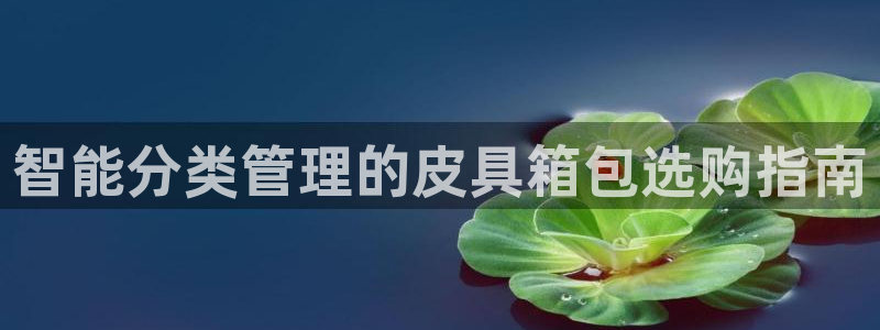 卧龙2神机娱乐