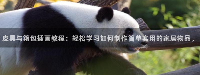 卧龙娱乐若七九九