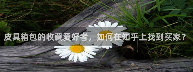 卧龙娱乐过山车