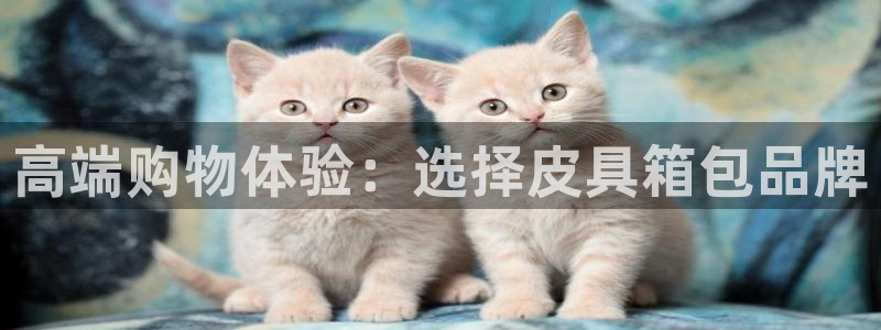 卧龙娱乐有限公司