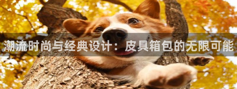 SKY娱乐 卧龙主管60447