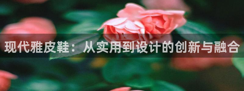 卧龙台球娱乐会所地址