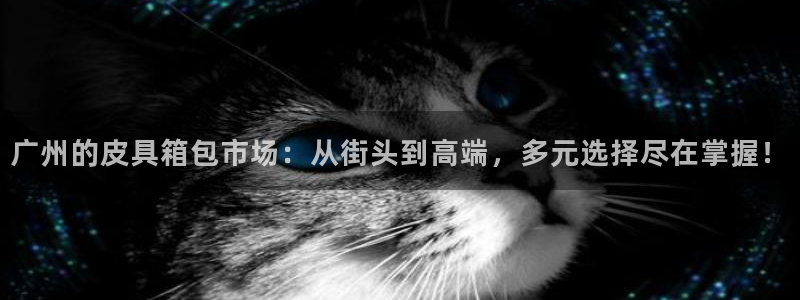 卧龙娱乐招商代理是谁