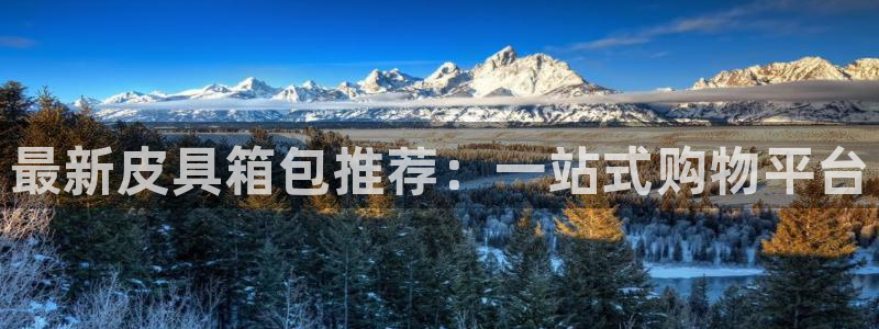 卧龙娱乐APP