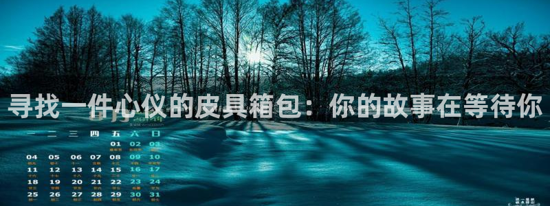 卧龙风雏娱乐