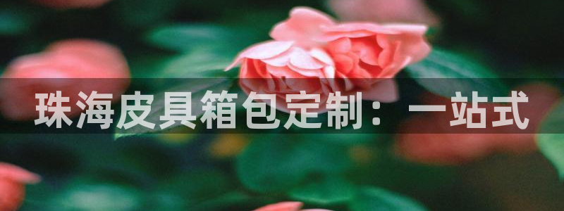 卧龙休闲娱乐人气推荐