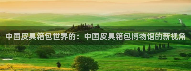 卧龙娱乐左