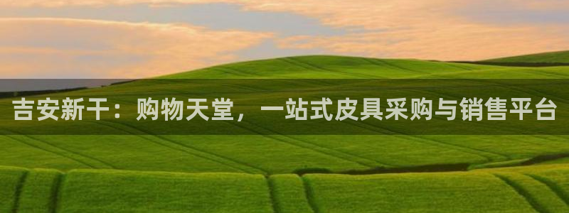 卧龙说娱乐