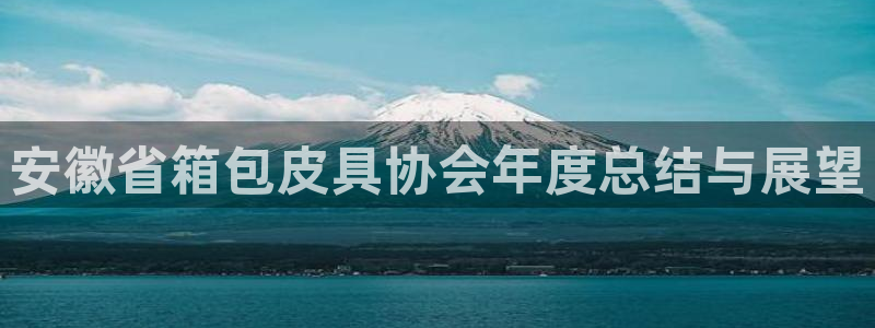 卧龙娱乐设备公司