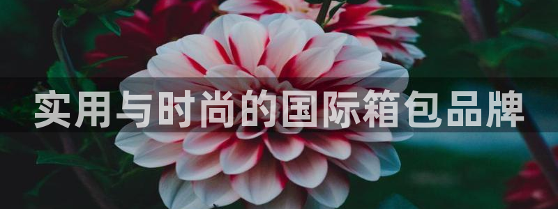 厦门卧龙台球娱乐会所