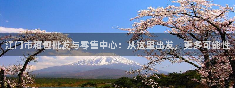 卧龙娱乐集团投注