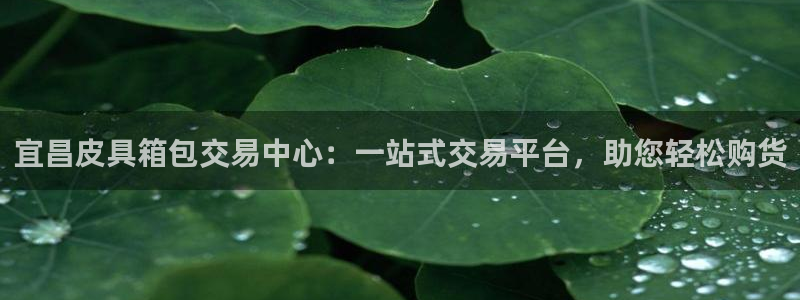 卧龙湾儿童娱乐项目价格