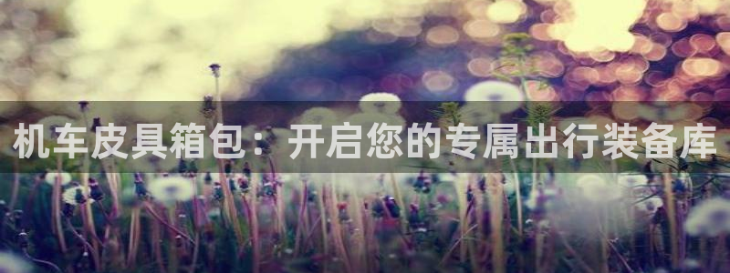 柏林娱乐- 0 7卧龙