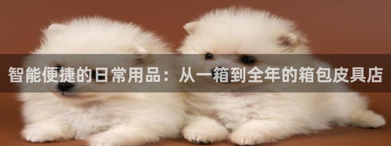 卧龙娱乐是什么