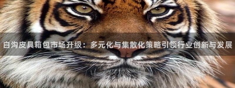 卧龙凤雏直播娱乐