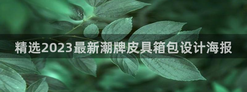 HR娱乐卧龙主管60447