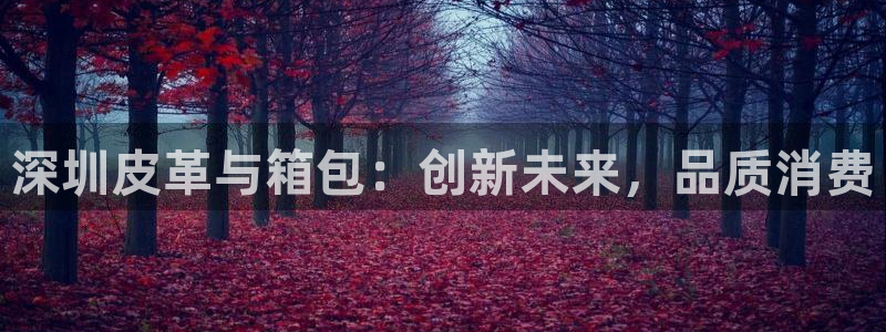 卧龙棋牌娱乐官网