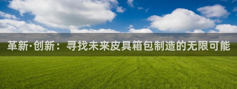 卧龙娱乐总代理是谁呀
