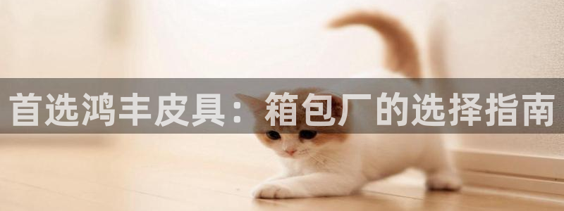 大娱乐家卧龙先生
