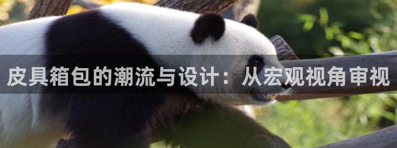 卧龙镇娱乐会所电话