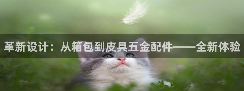 卧龙娱乐总管是谁
