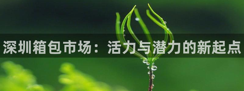 卧龙娱乐上