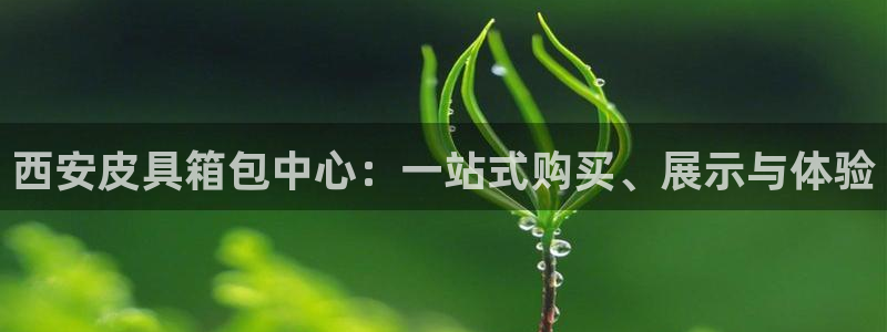 卧龙娱乐挂机软件