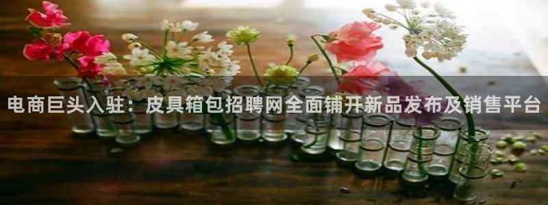 卧龙娱乐彩票官网下载