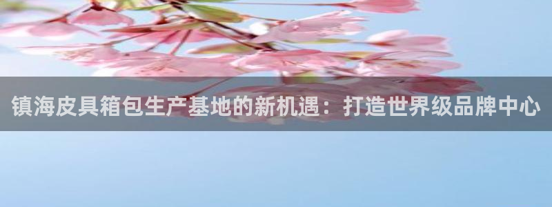 卧龙娱乐集团