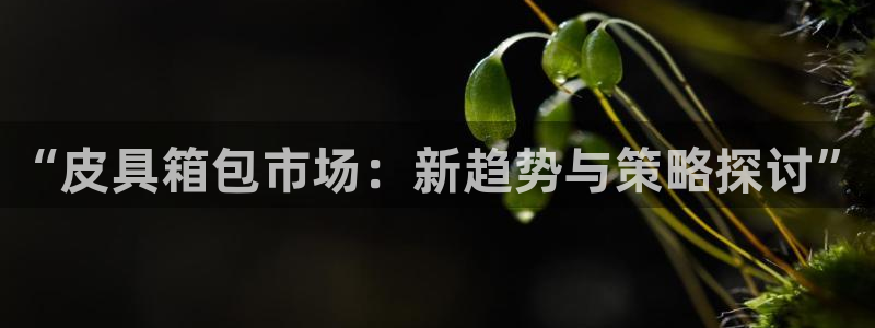 卧龙娱乐天