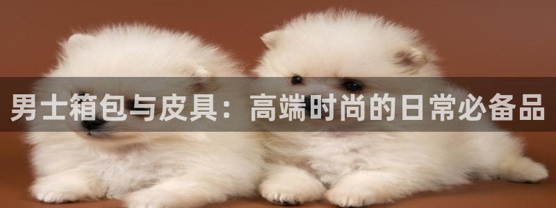 卧龙娱乐注册开户地址