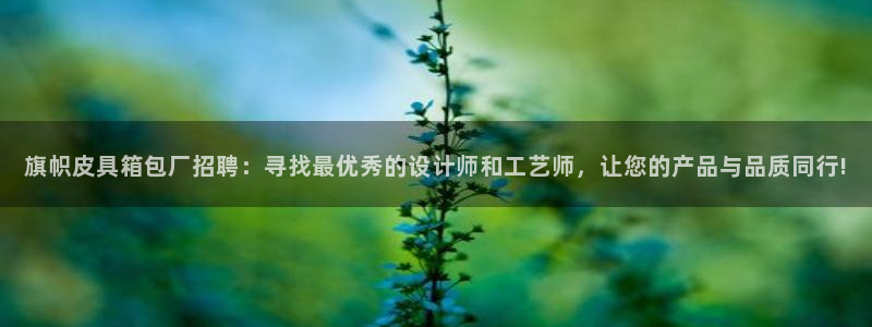 卧龙凤雏娱乐运城