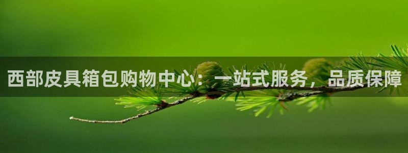 卧龙娱乐平台登录入口