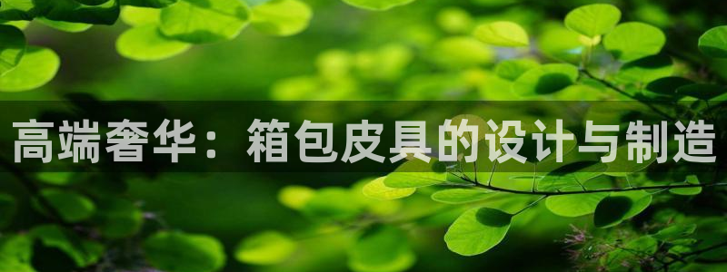 卧龙娱乐在线直播网页