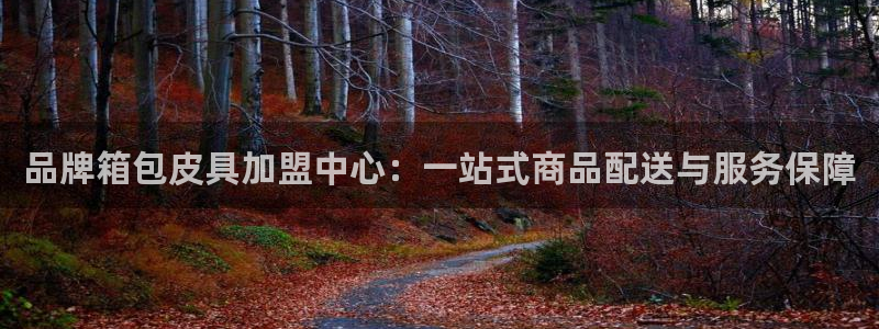 卧龙2神机娱乐代理