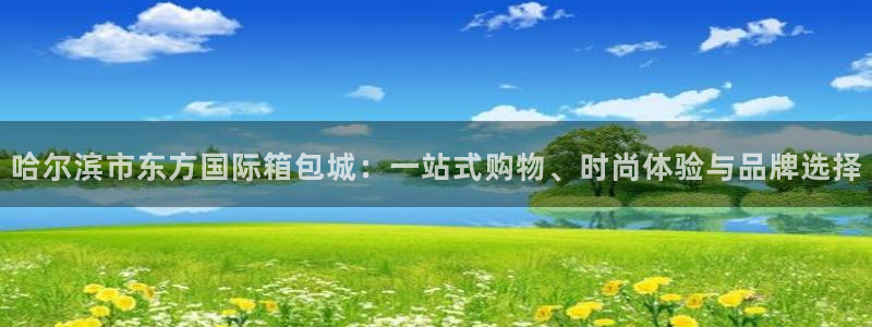 卧龙新款娱乐设备