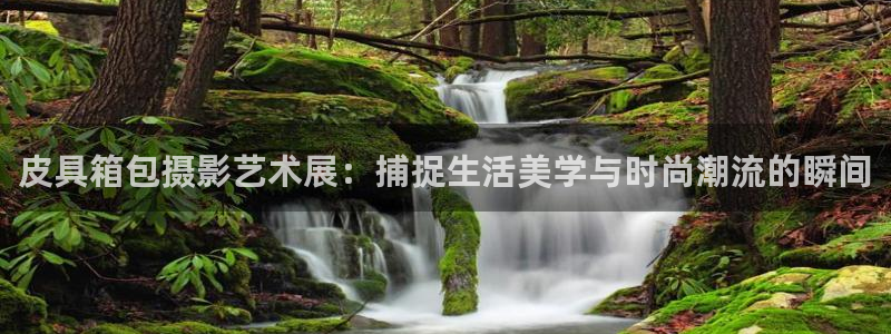 sky娱乐畅通卧龙86877